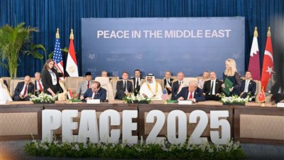 قمة شرم الشيخ: عندما يتحدث العقل ويستجيب الجسد