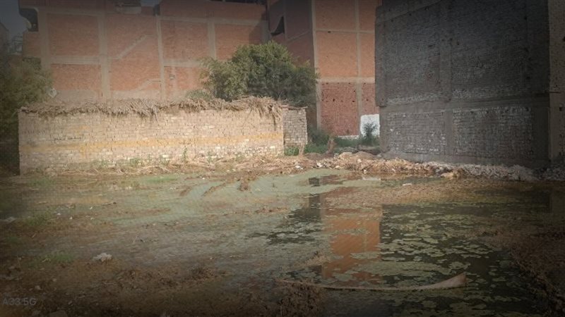 موقع الصفحة الأولى