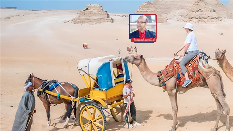 موقع الصفحة الأولى