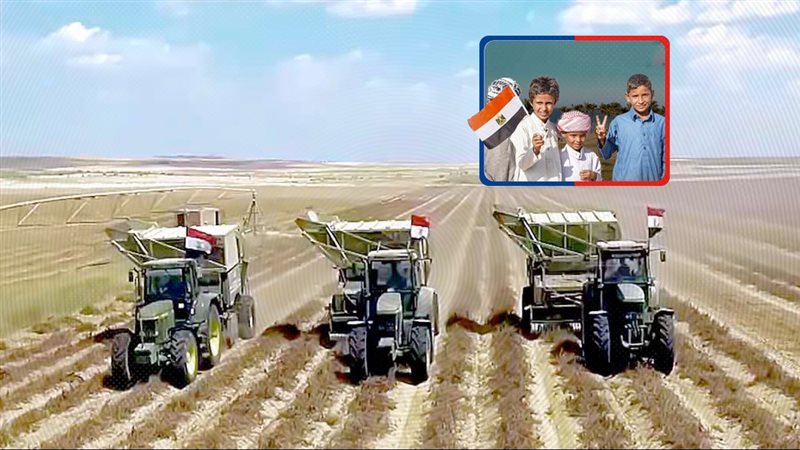 موقع الصفحة الأولى