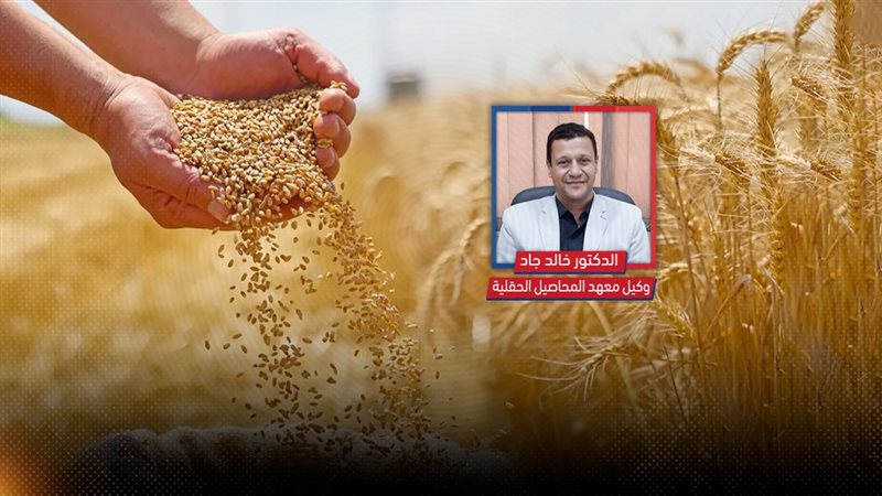 موقع الصفحة الأولى