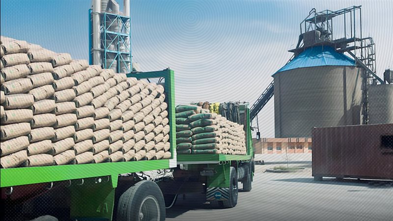 موقع الصفحة الأولى