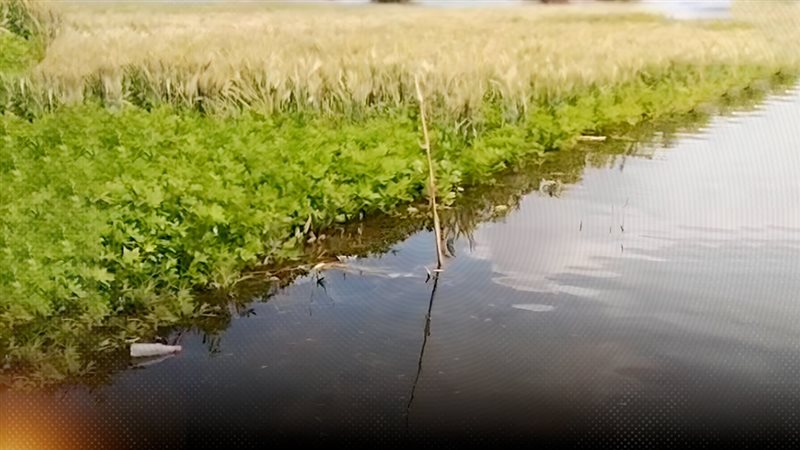 موقع الصفحة الأولى