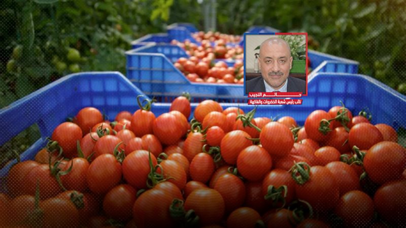 موقع الصفحة الأولى