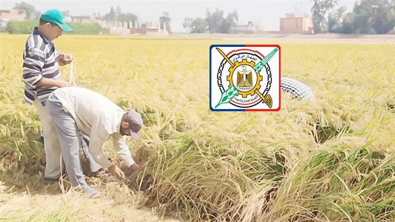 موقع الصفحة الأولى