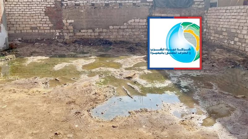 موقع الصفحة الأولى