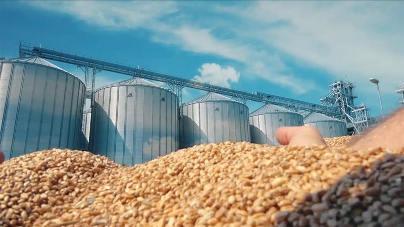 موقع الصفحة الأولى