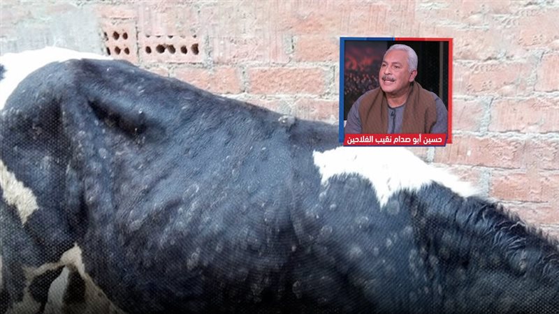 موقع الصفحة الأولى