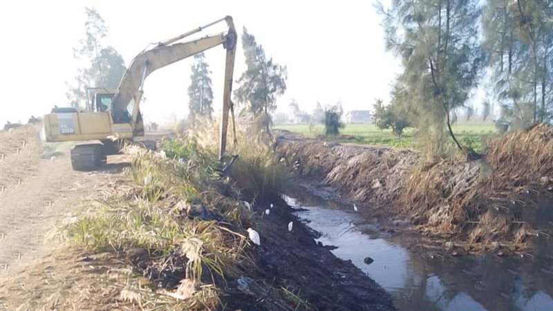 موقع الصفحة الأولى