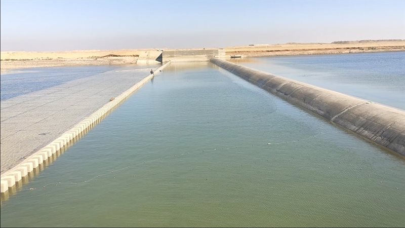 موقع الصفحة الأولى