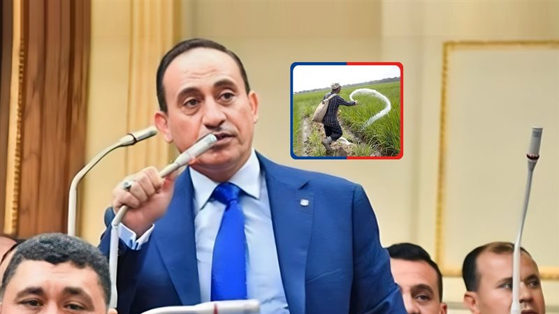 موقع الصفحة الأولى