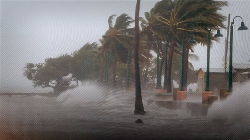 موقع الصفحة الأولى