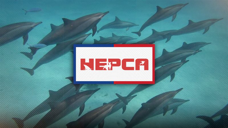 موقع الصفحة الأولى