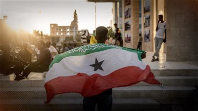 ما بين طموح أعمى وأنانية تضيع سيادة الدول