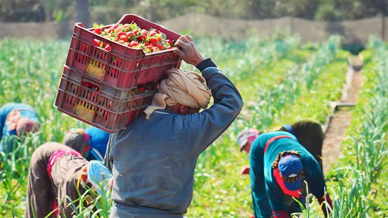 موقع الصفحة الأولى