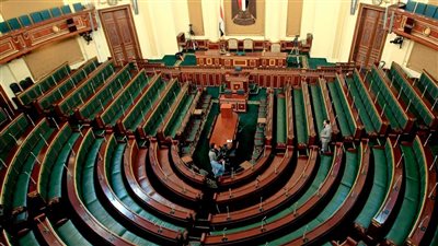 الشرعية البرلمانية لا تستمد من تمام الإجراءات وإنما من صحة وسلامة مصدرها