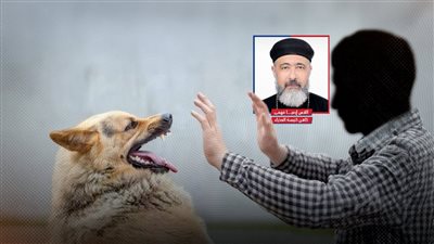 إصابات بالغة لكاهن كنيسة بورسعيد بعد تعرضه للعقر من كلب ضال