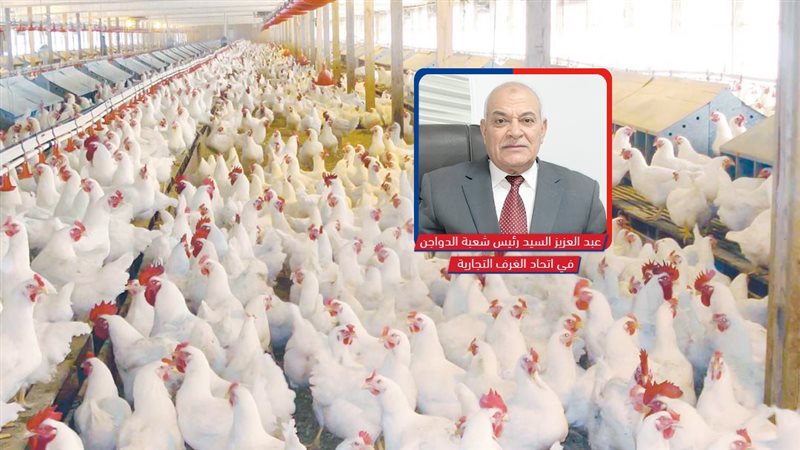 موقع الصفحة الأولى