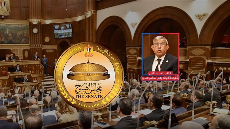 موقع الصفحة الأولى