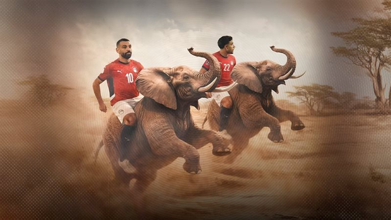 موقع الصفحة الأولى