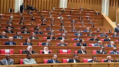 قراءة دستورية في فلسفة اللجان النوعية ومخاطر اختطافها