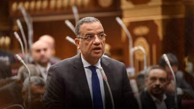 «الجبهة الوطنية»: استثمارات الشواطئ والمياه أمن قومي.. ونحتاج رؤية مستدامة لـ«ورد النيل»