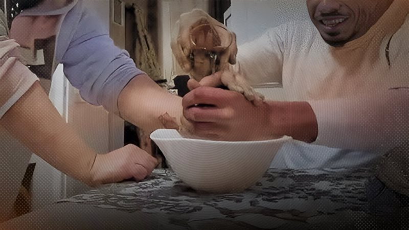 موقع الصفحة الأولى