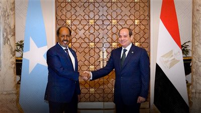 3 رسائل حاسمة للرئيس السيسي عبر القمة المصرية الصومالية بالقاهرة