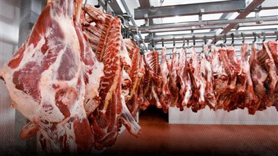 اليوبيل الماسى للـ