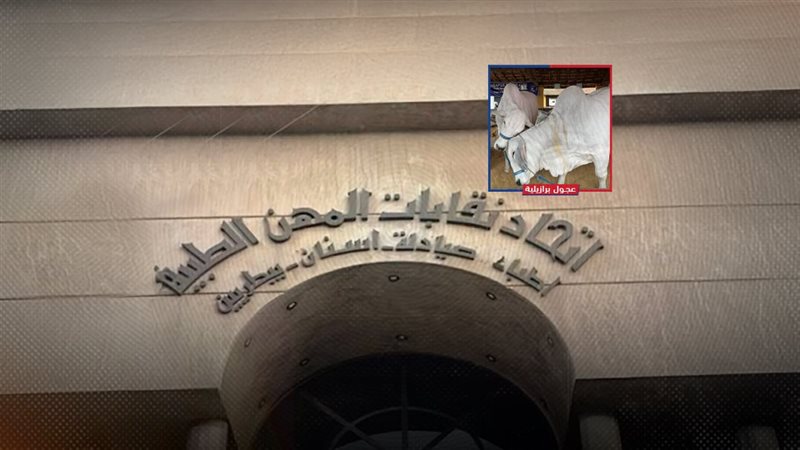 موقع الصفحة الأولى