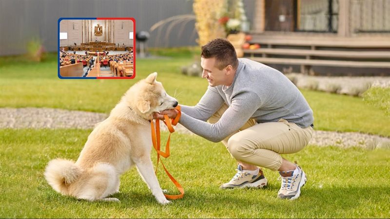 موقع الصفحة الأولى