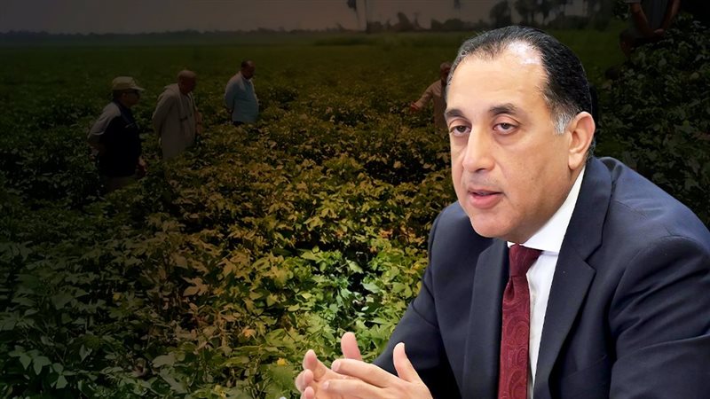 موقع الصفحة الأولى