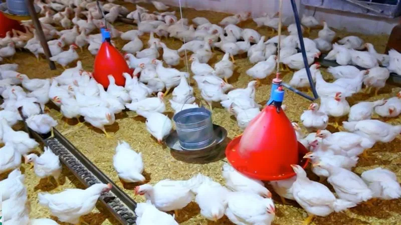 موقع الصفحة الأولى