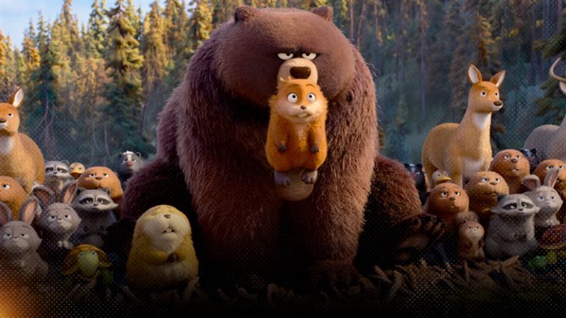 موقع الصفحة الأولى