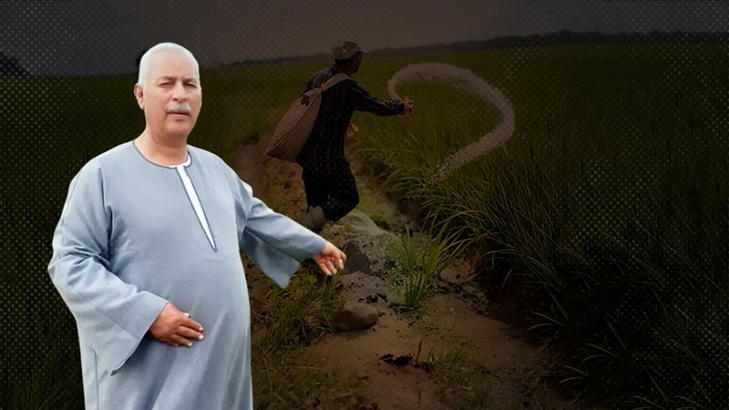 موقع الصفحة الأولى