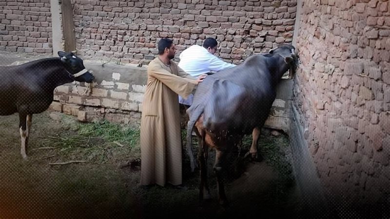 موقع الصفحة الأولى