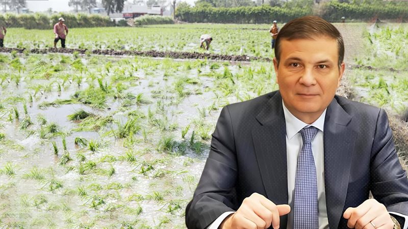 موقع الصفحة الأولى