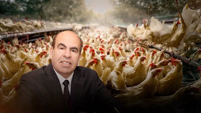 موقع الصفحة الأولى