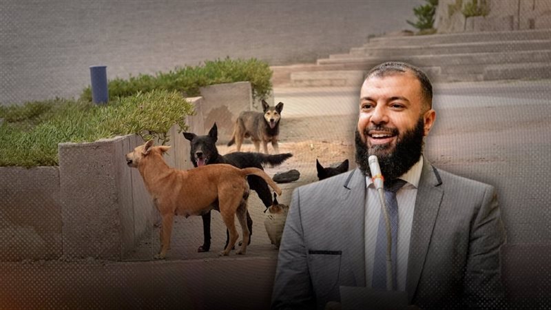 موقع الصفحة الأولى