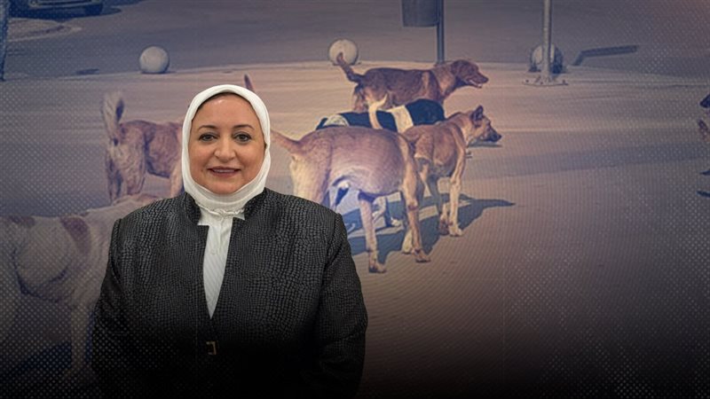 موقع الصفحة الأولى