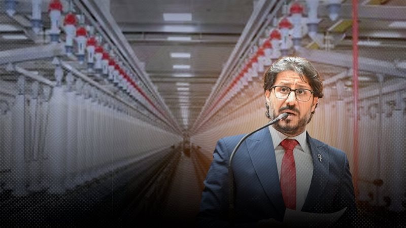 موقع الصفحة الأولى