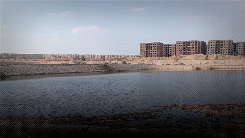 موقع الصفحة الأولى