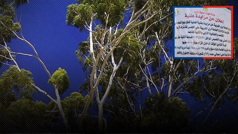 موقع الصفحة الأولى