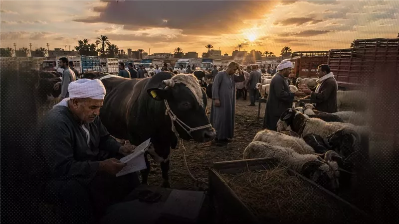 موقع الصفحة الأولى