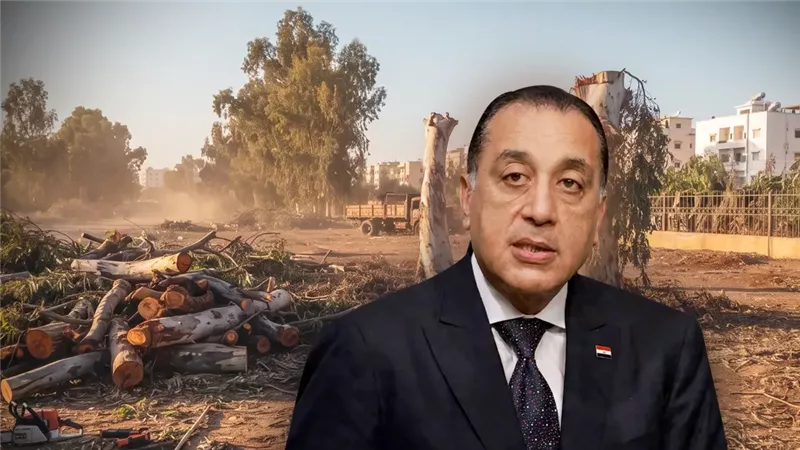 موقع الصفحة الأولى
